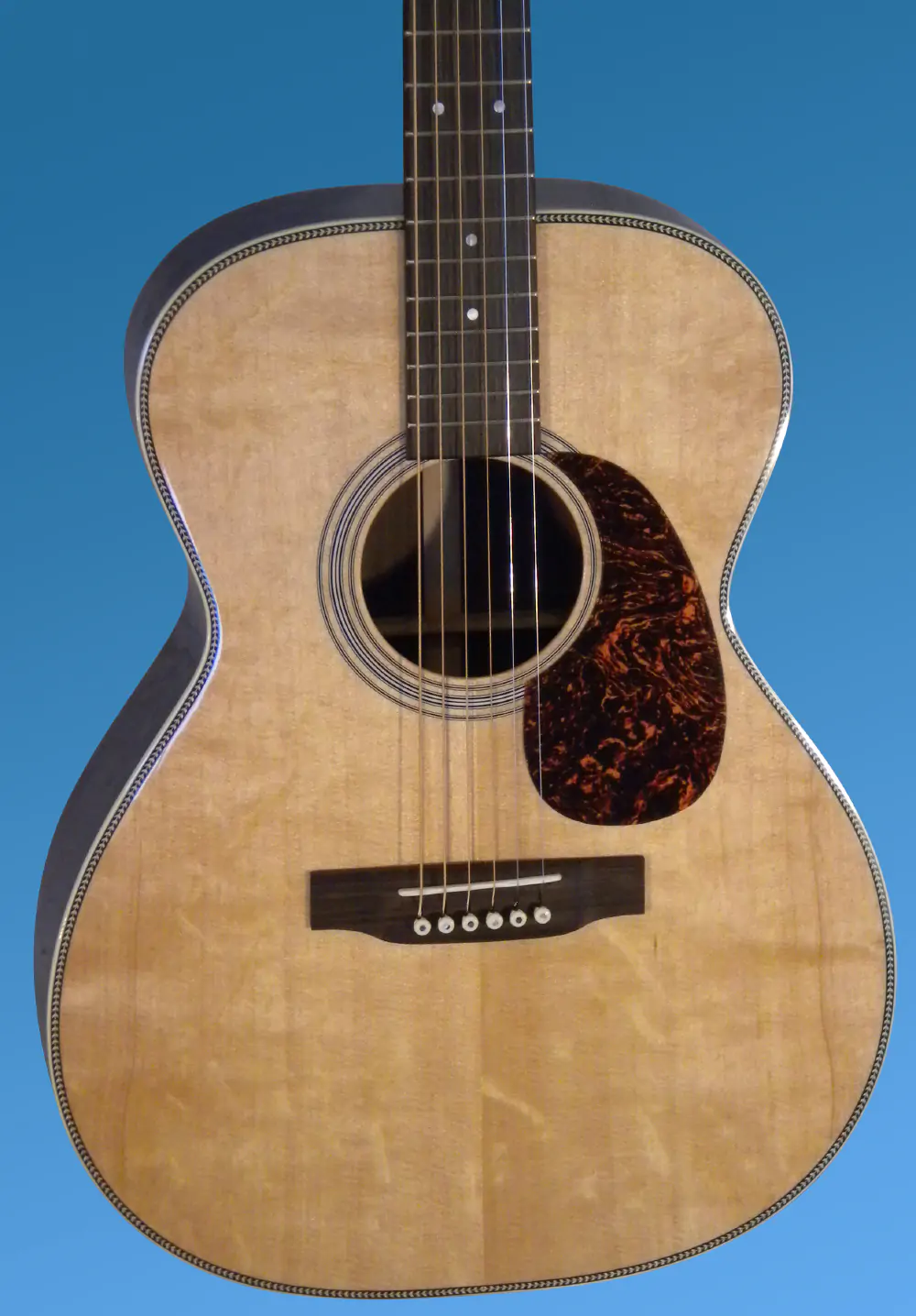 Guitar showcase, image 4