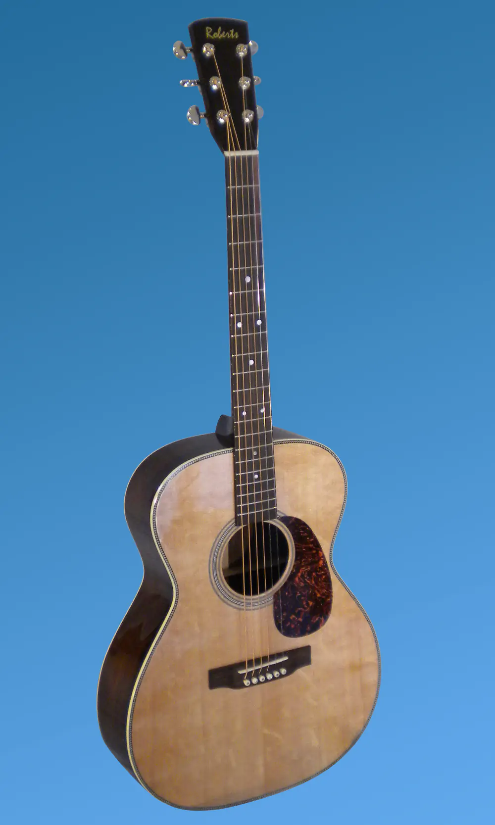 Guitar showcase, image 6