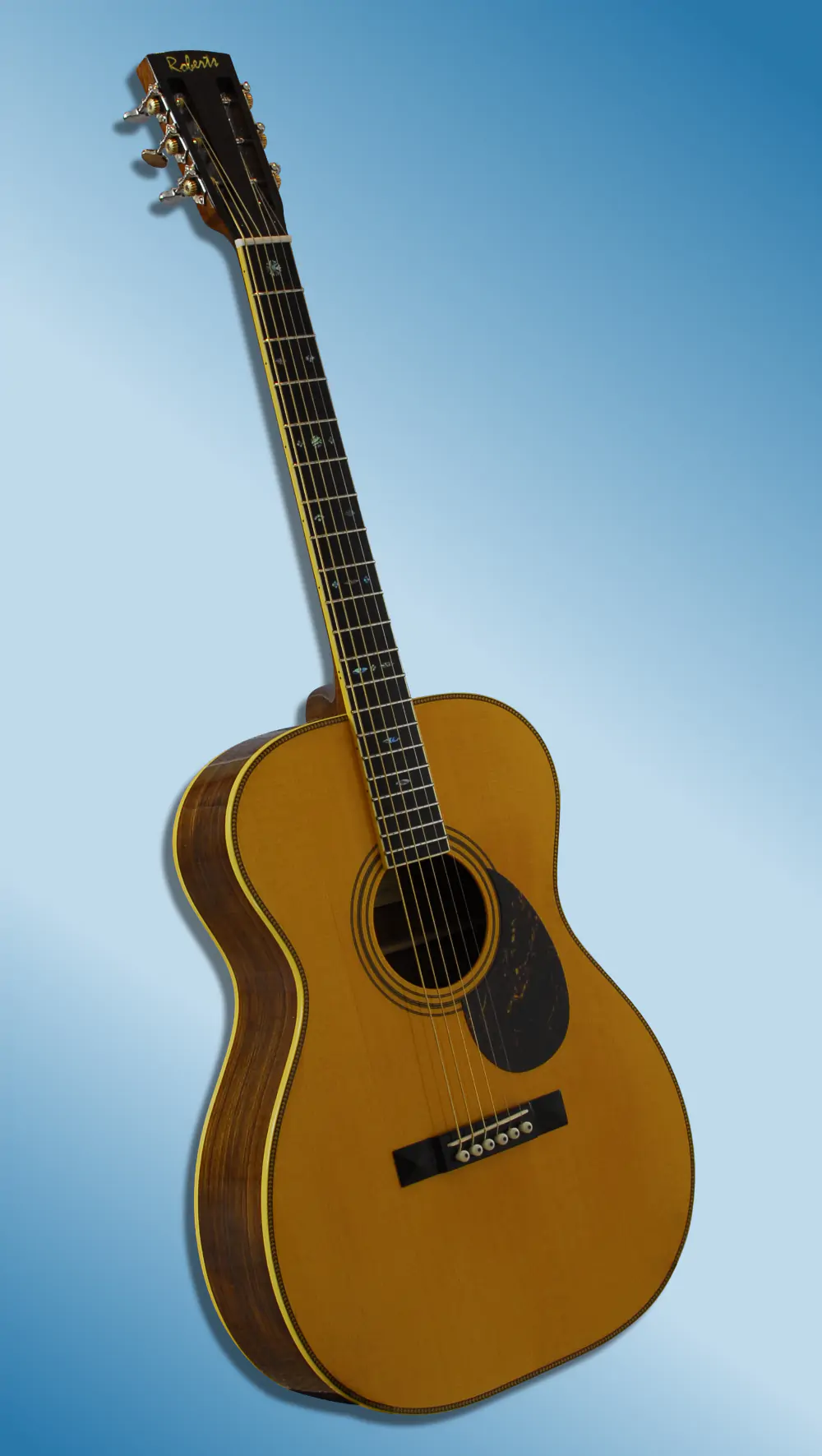 Guitar showcase, image 11