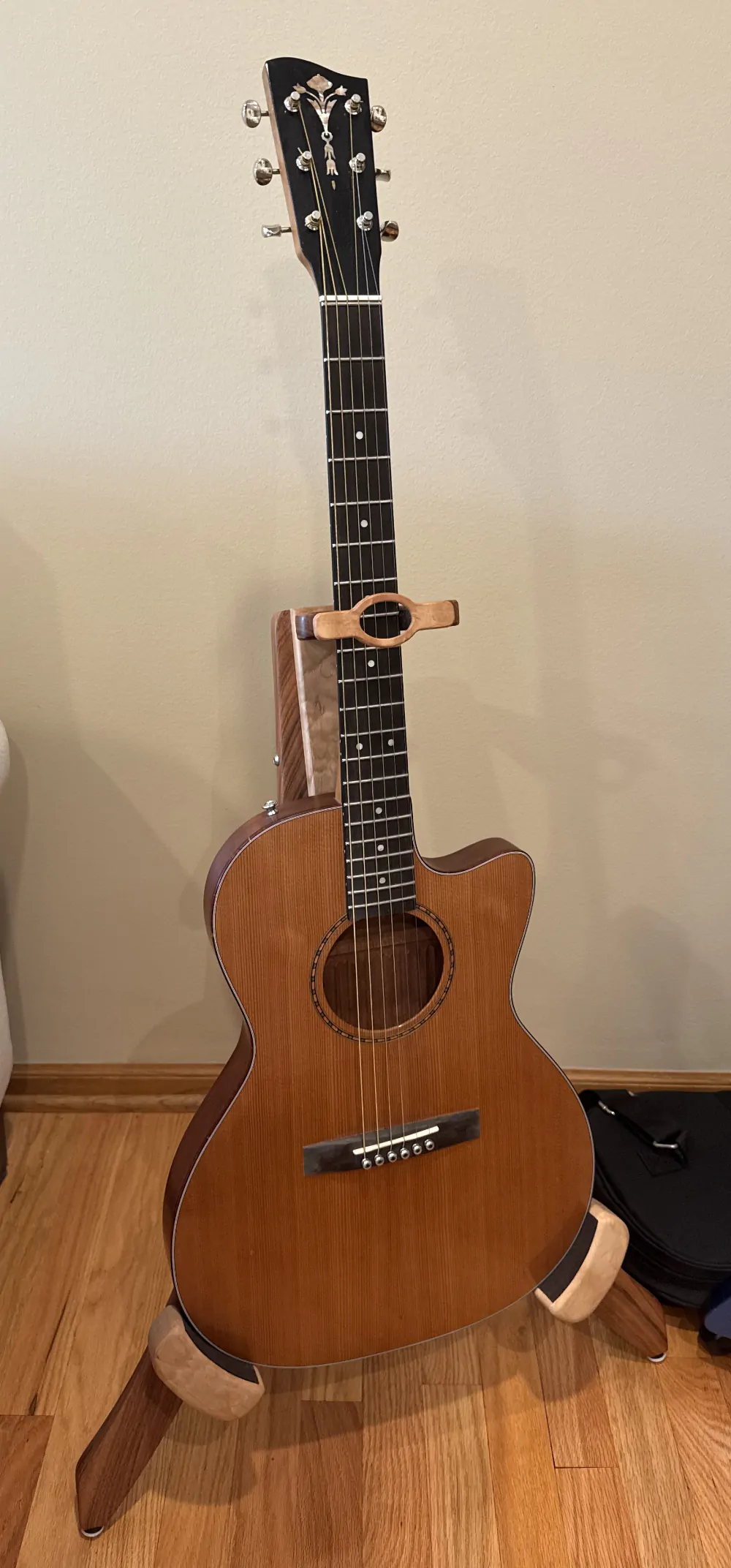 Guitar showcase, image 19