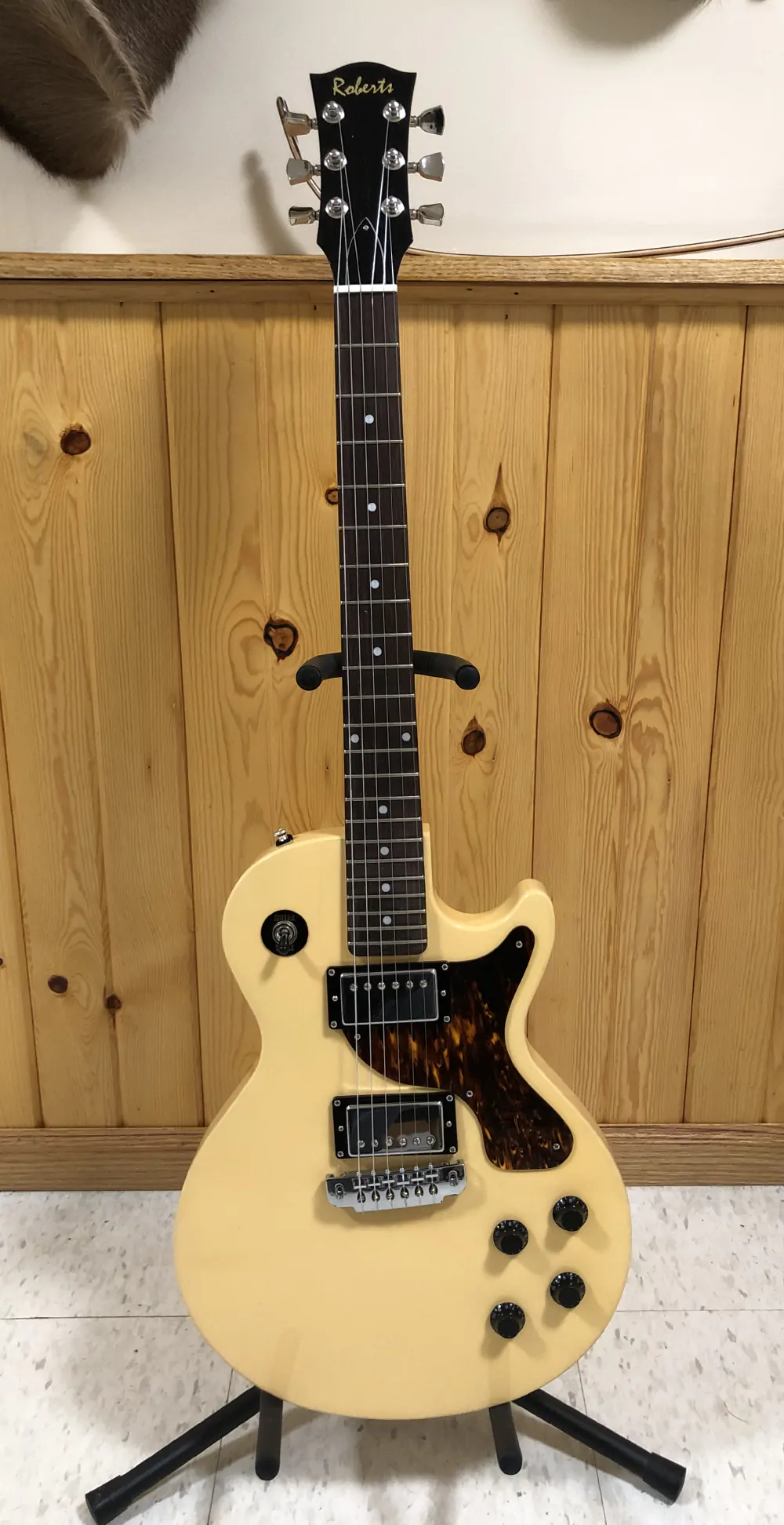 Guitar showcase, image 22