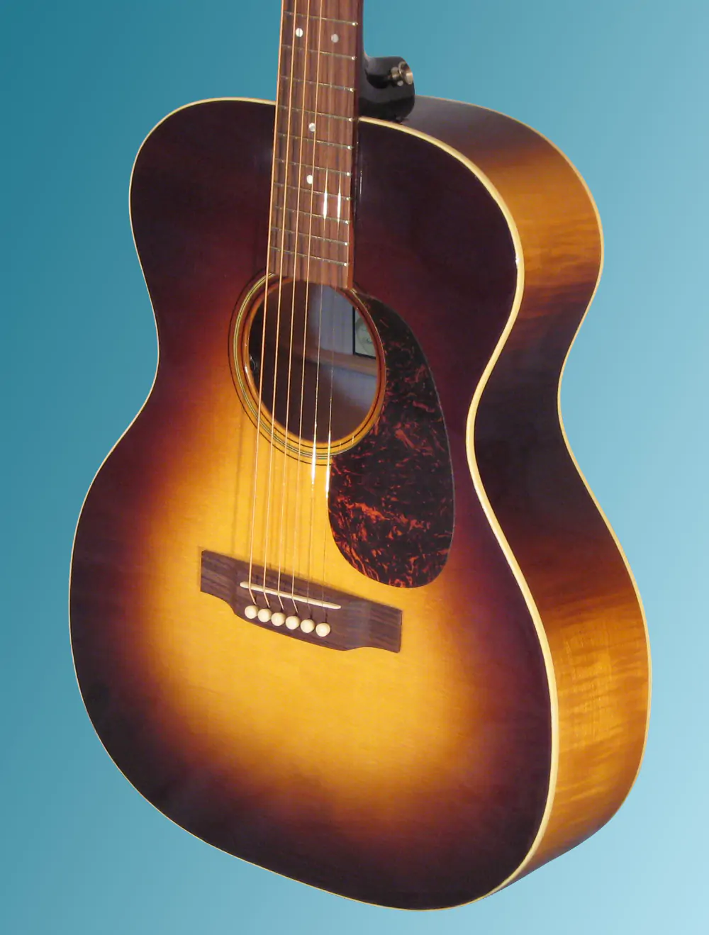 Guitar showcase, image 27