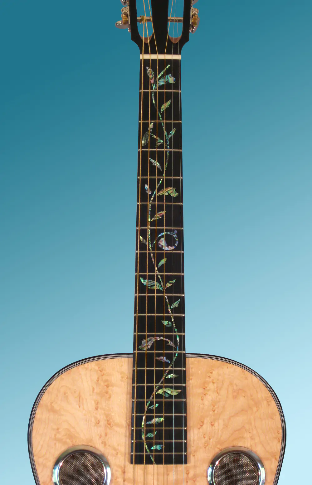 Guitar showcase, image 35