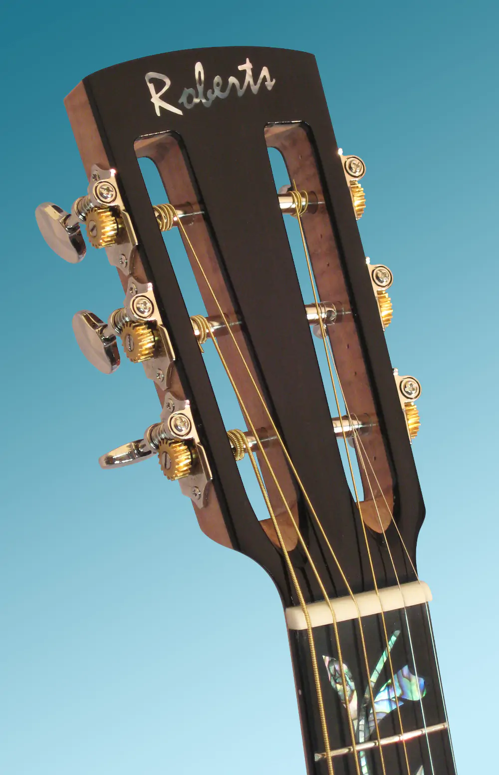 Guitar showcase, image 36