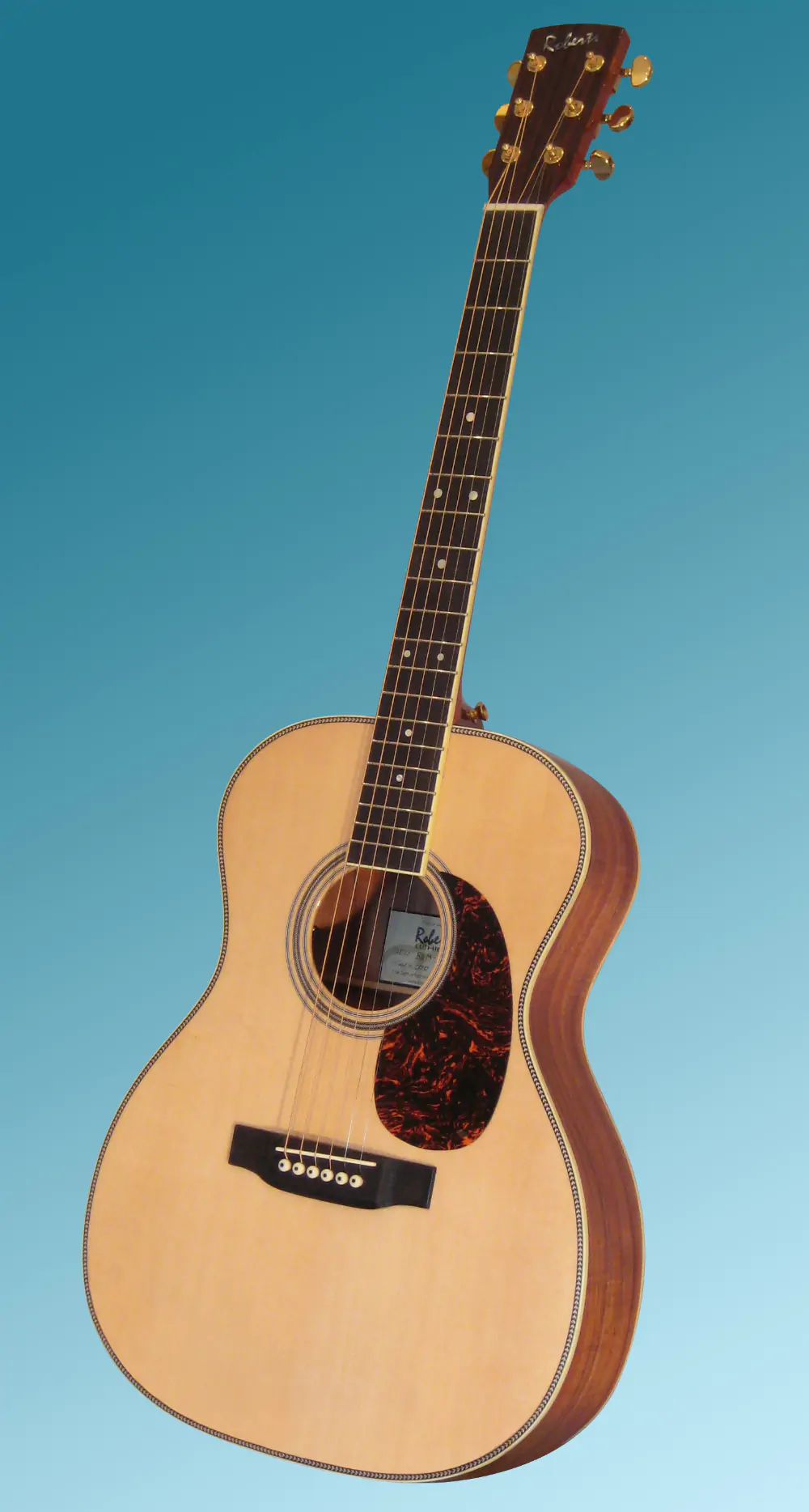Guitar showcase, image 45