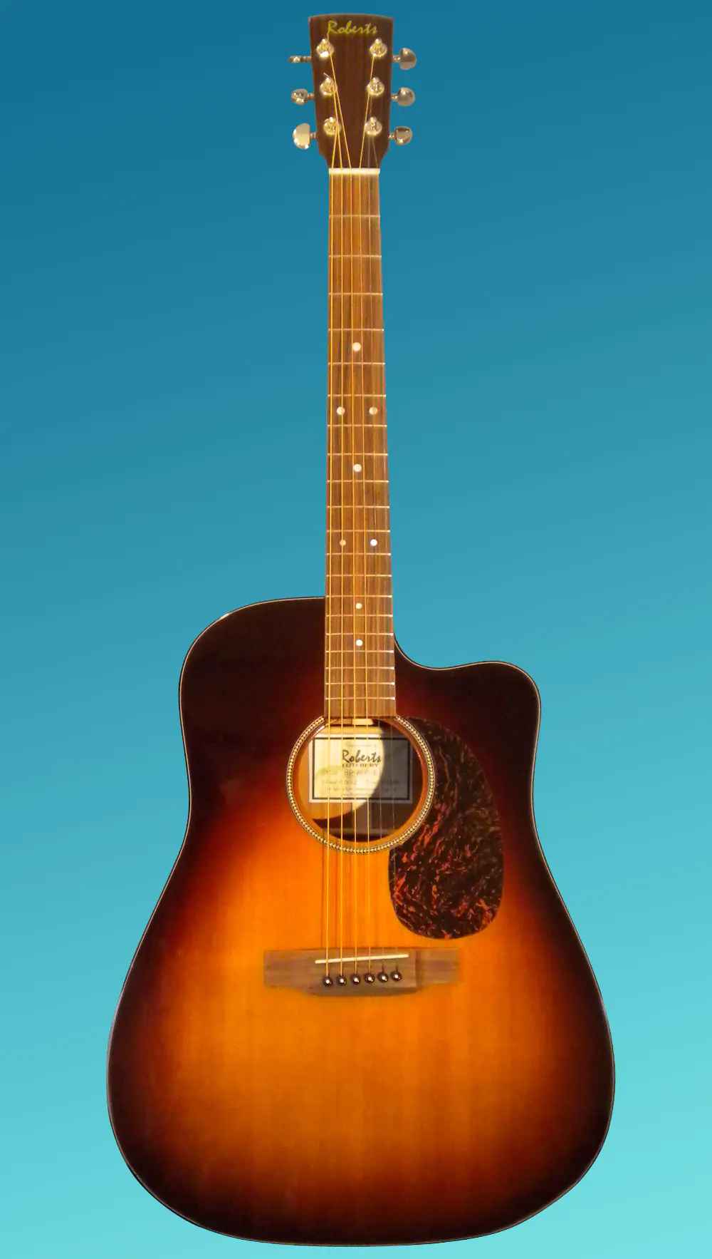 Guitar showcase, image 49