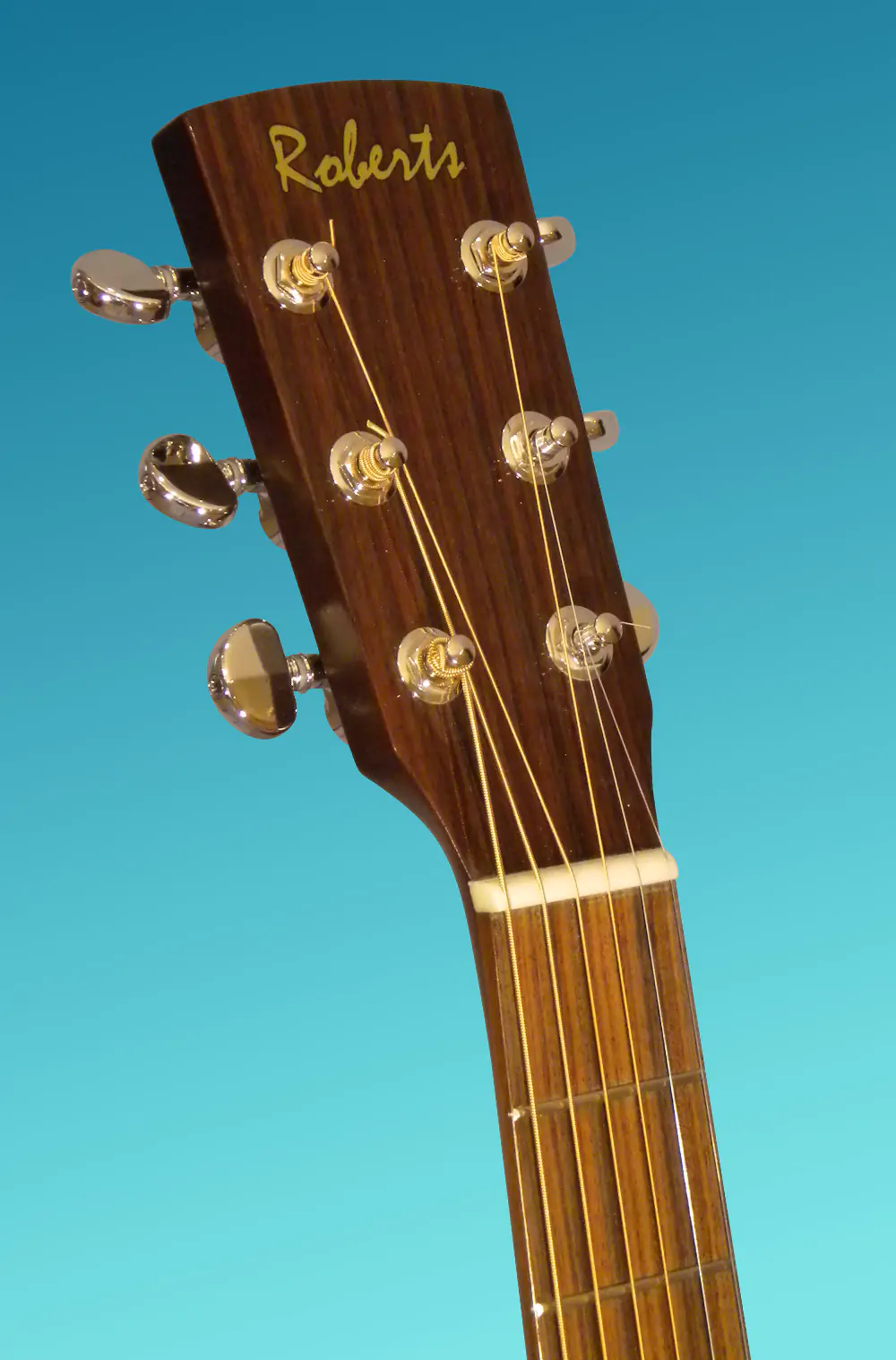 Guitar showcase, image 50