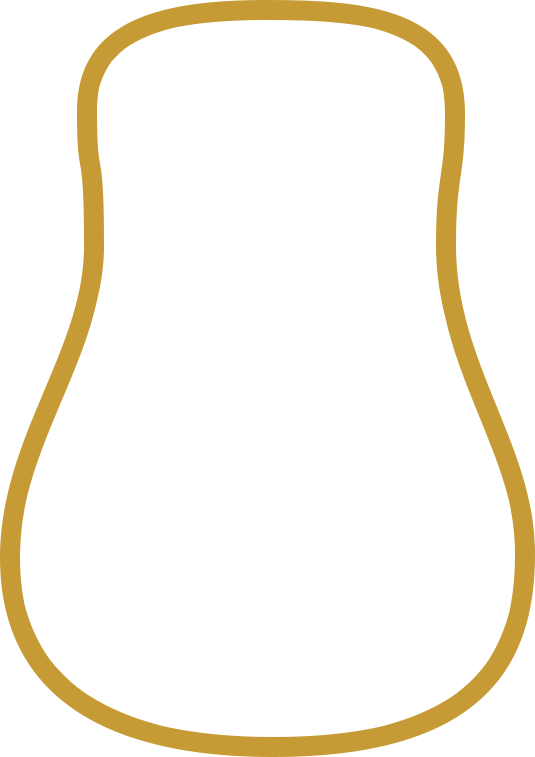 Outline of a D-14 fret guitar