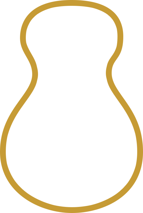 Outline of an orchestra model guitar